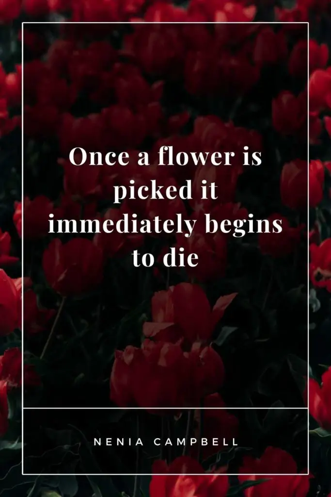 Fallen Flowers Quotes