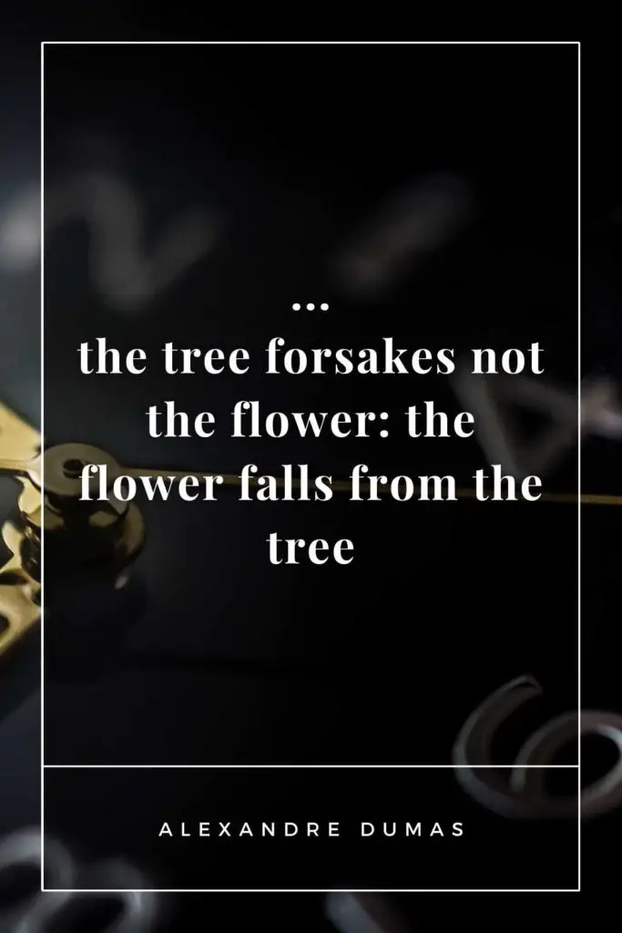 Fallen Flower Quotes