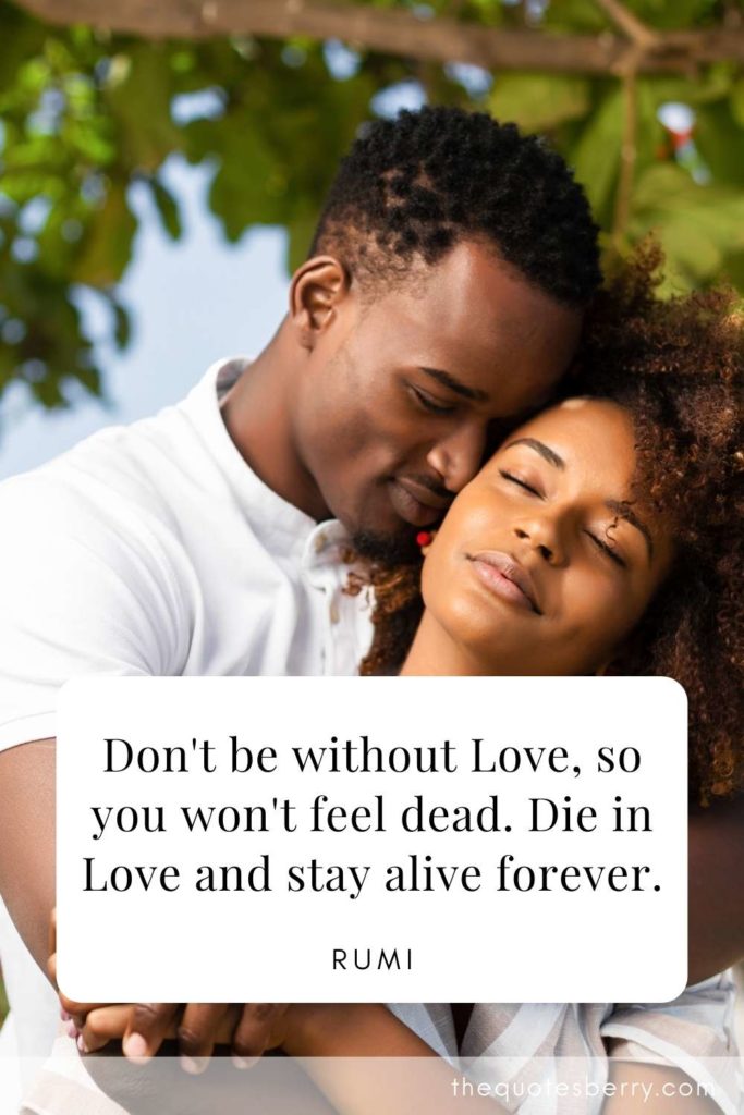 Best Forever Love Quotes & Sayings