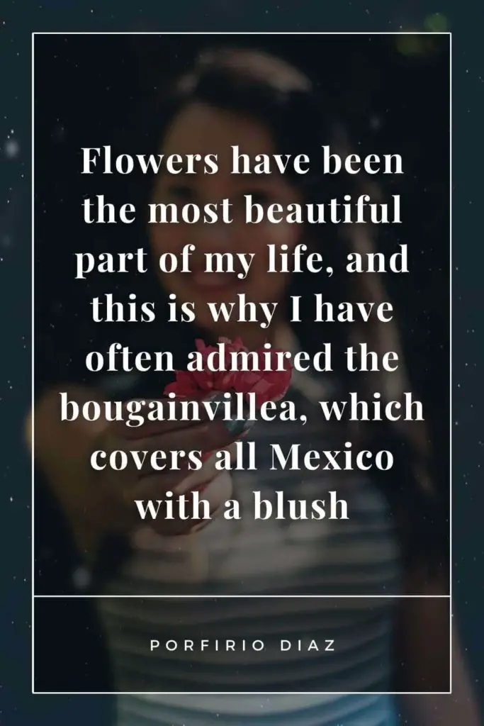 Bougainvillea Quotes and Sayings