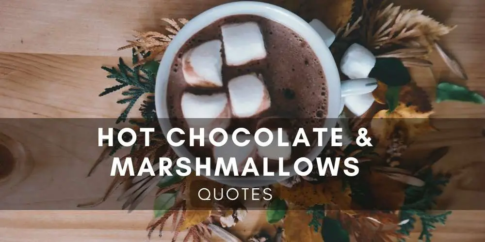 hot chocolate and marshmallows quotes