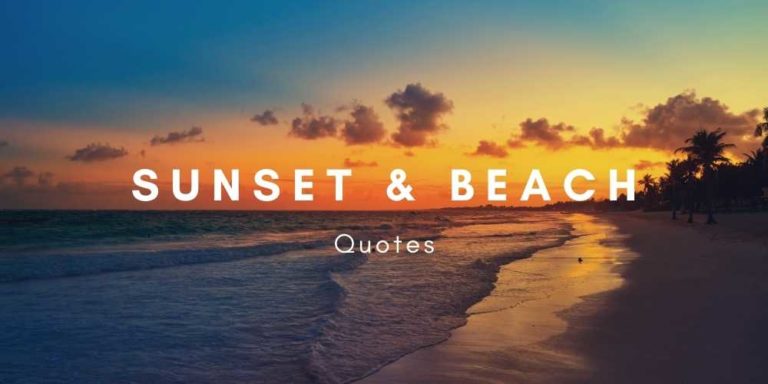 Sunset and Beach Quotes