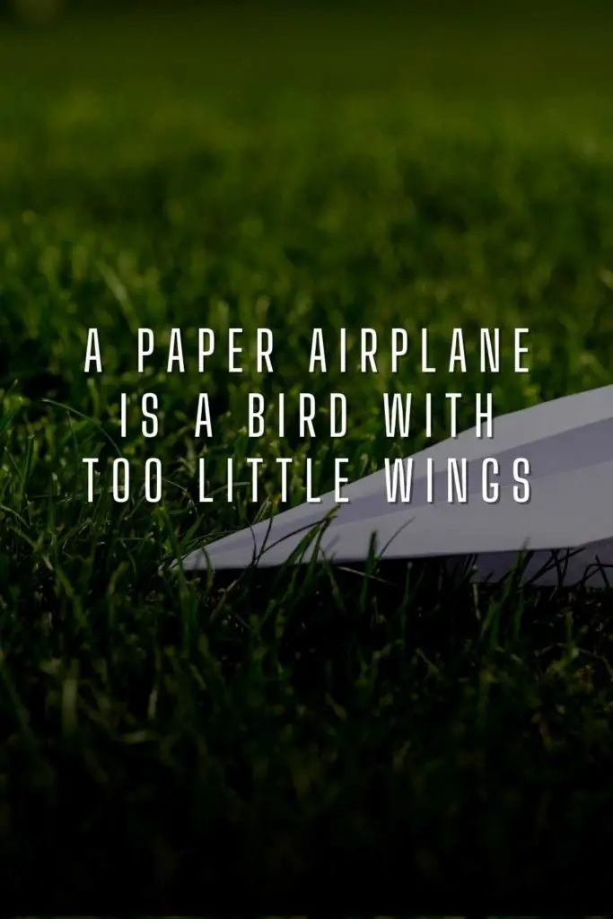Paper Airplane Quotes