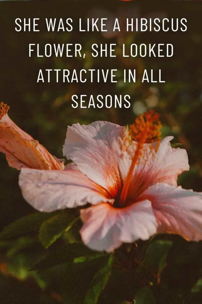 Hibiscus Flower Quotes & Captions