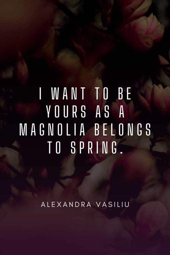 Magnolia Flowers & Tree Quotes