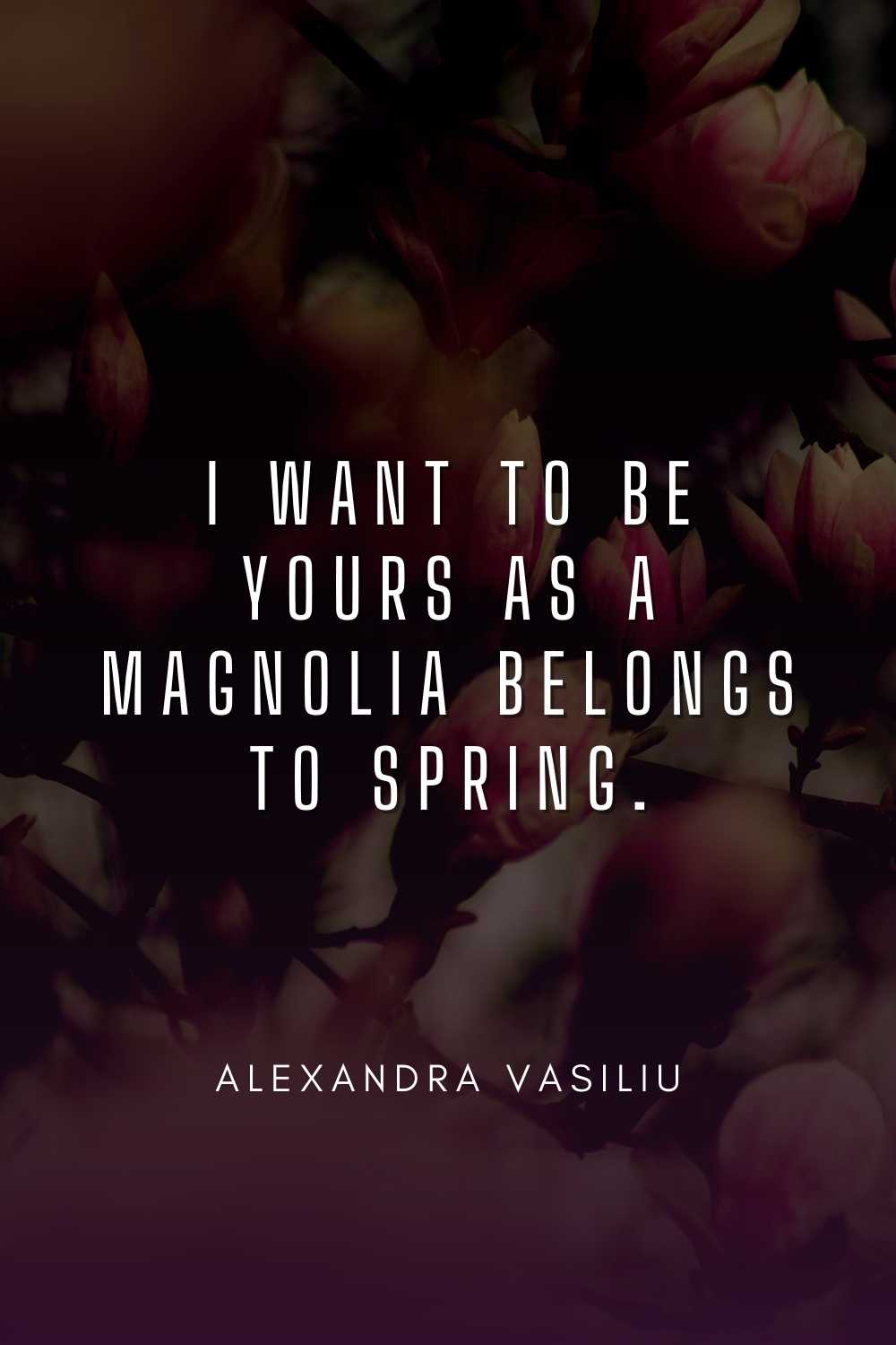 30+ Beautiful Magnolia Tree and Flower Quotes & Captions