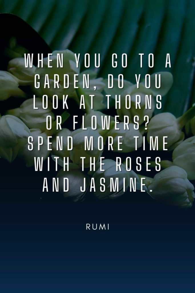 Jasmine Flower Quotes & Captions