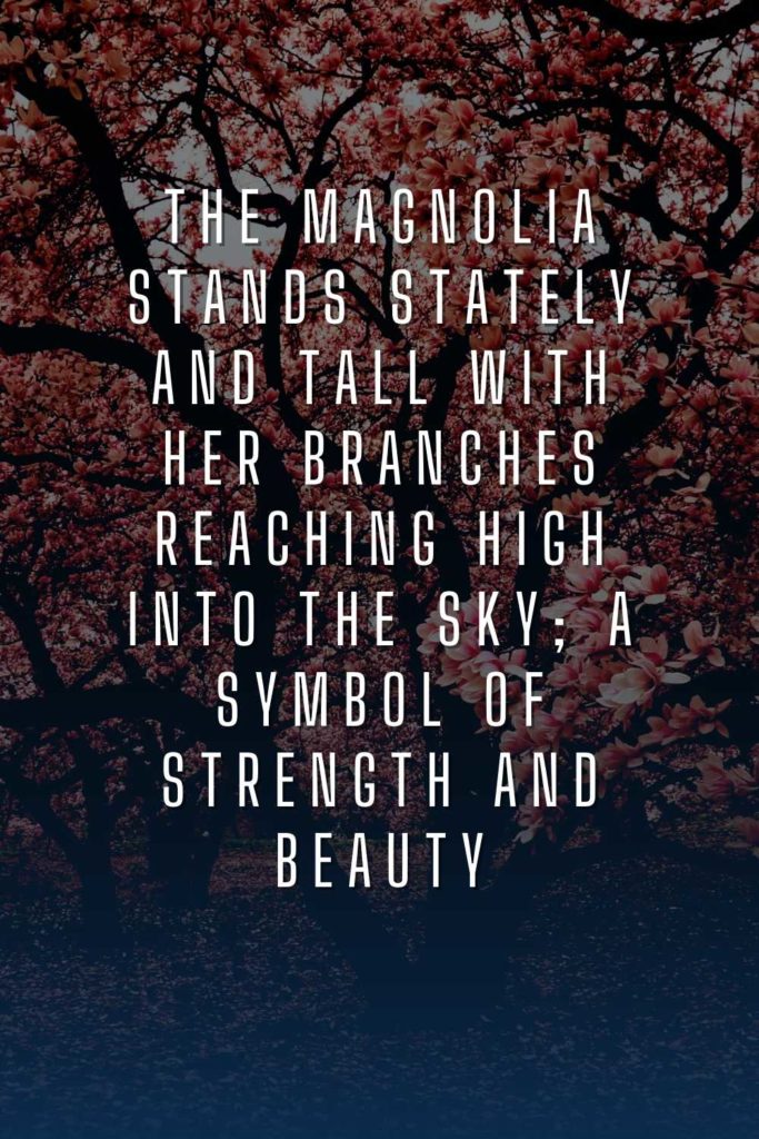 Magnolia Flowers & Tree Quotes