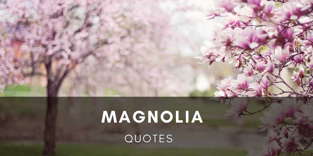 Magnolia Flowers & Tree Quotes