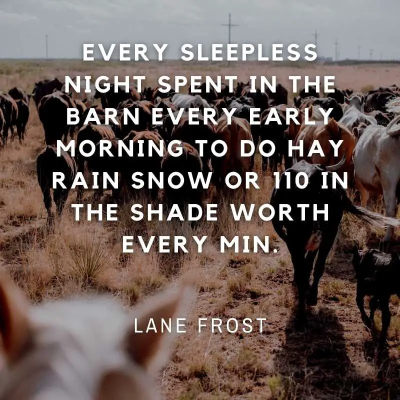 Lane Frost Quotes