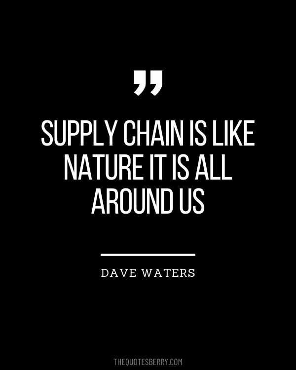 Global Supply Chain Quotes