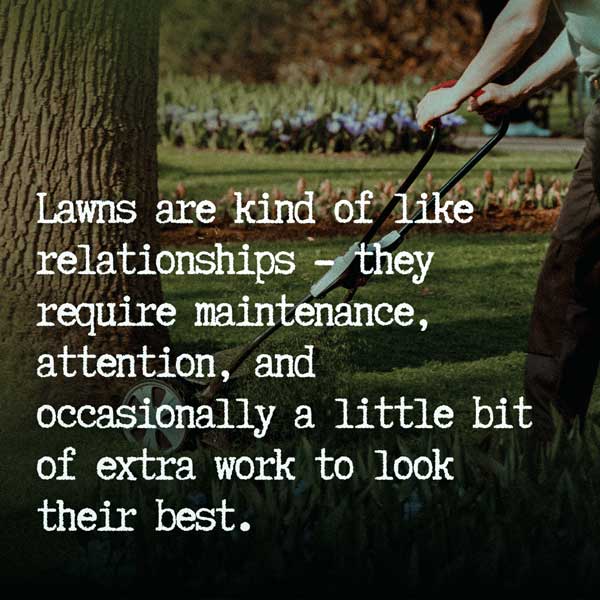 Lawn Moving Quotes & Instagram Captions