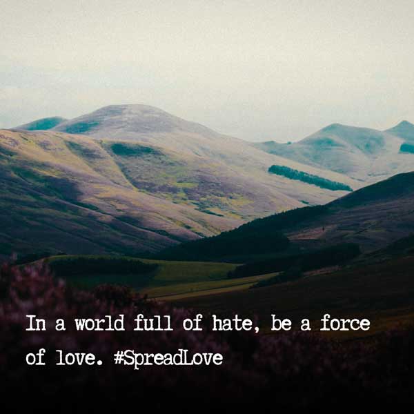 Peace and Love Instagram Captions and Quotes