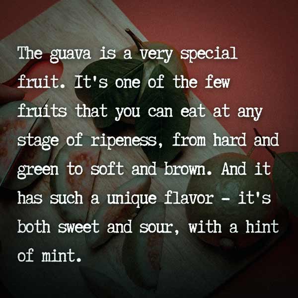 Guava Fruit and Tree Quotes and Instagram Captions