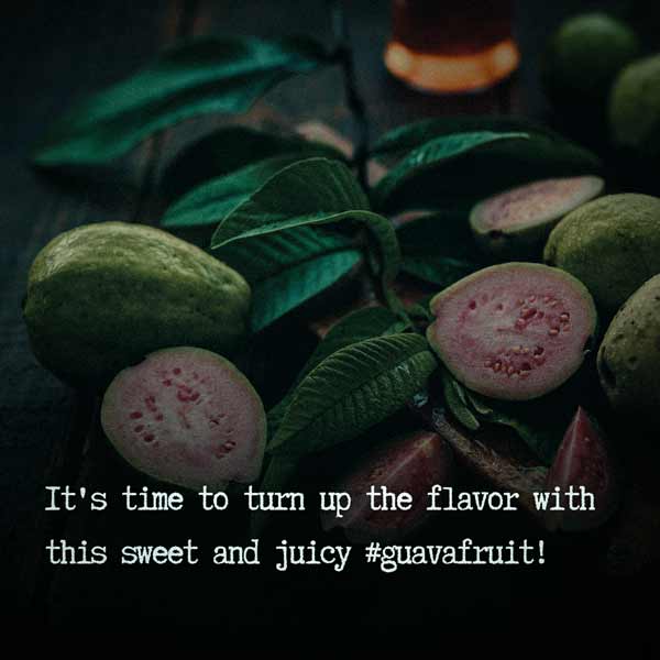 Guava Fruit and Tree Quotes and Instagram Captions