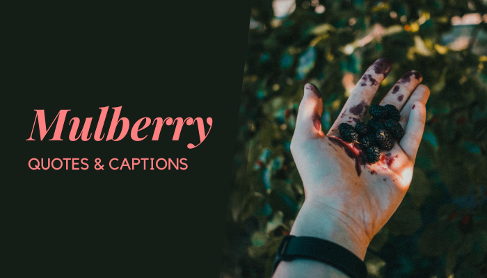 Mulberry Tree and Fruit Quotes