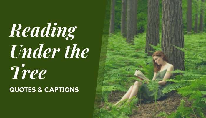 Reading Under the Tree Quotes & Captions