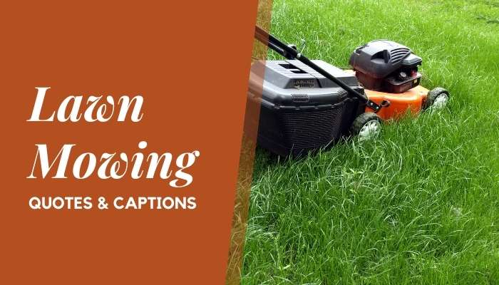 Lawn Moving Quotes & Instagram Captions