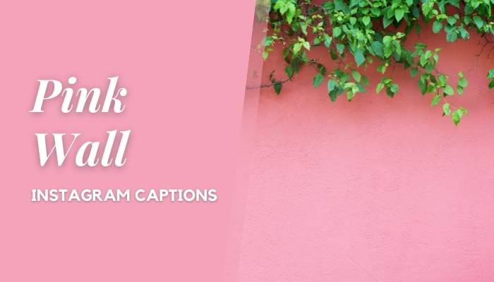 Pink Wall Instagram Captions