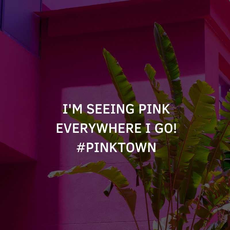 Pink Wall Instagram Captions