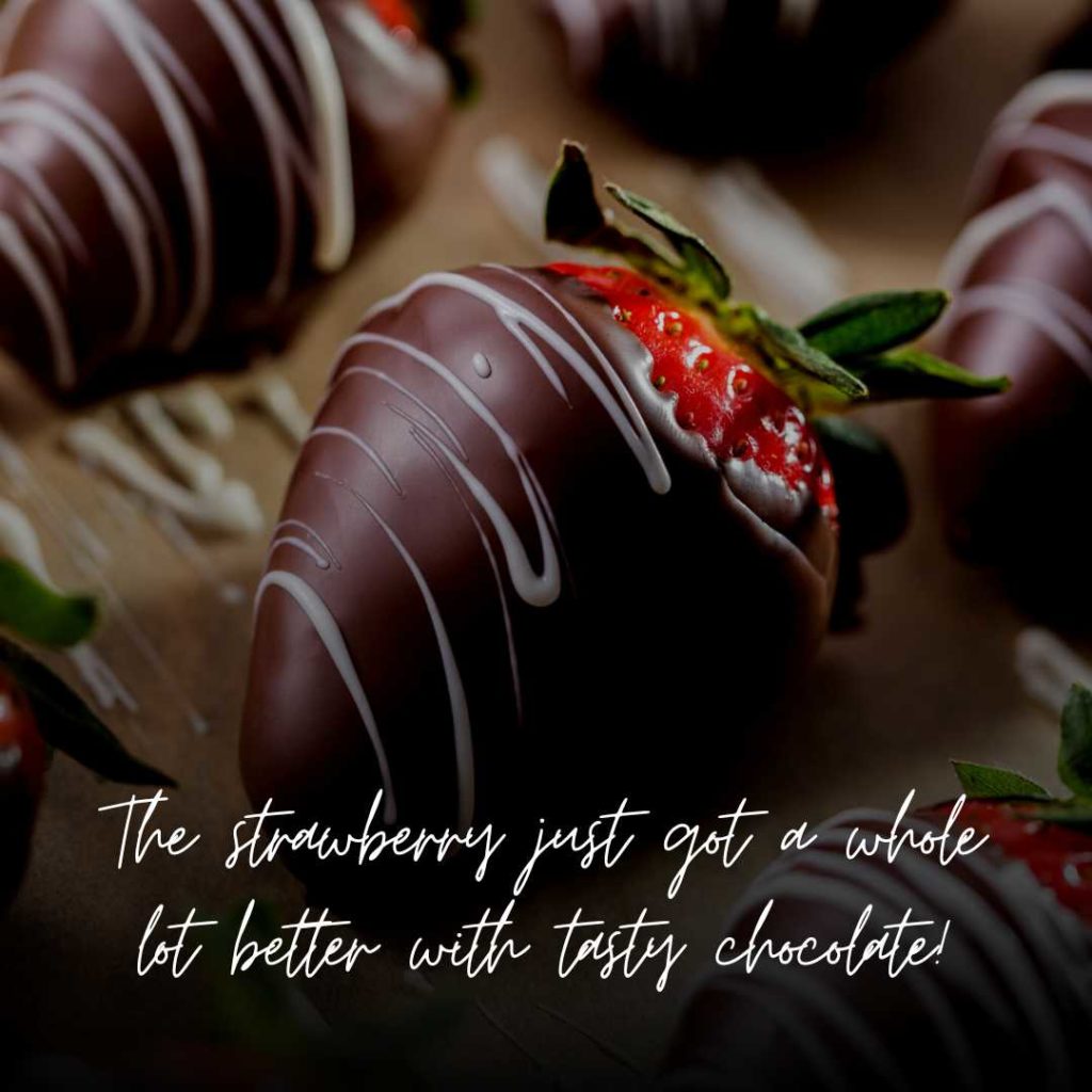Chocolate Covered Strawberries Quotes & Instagram Captions
