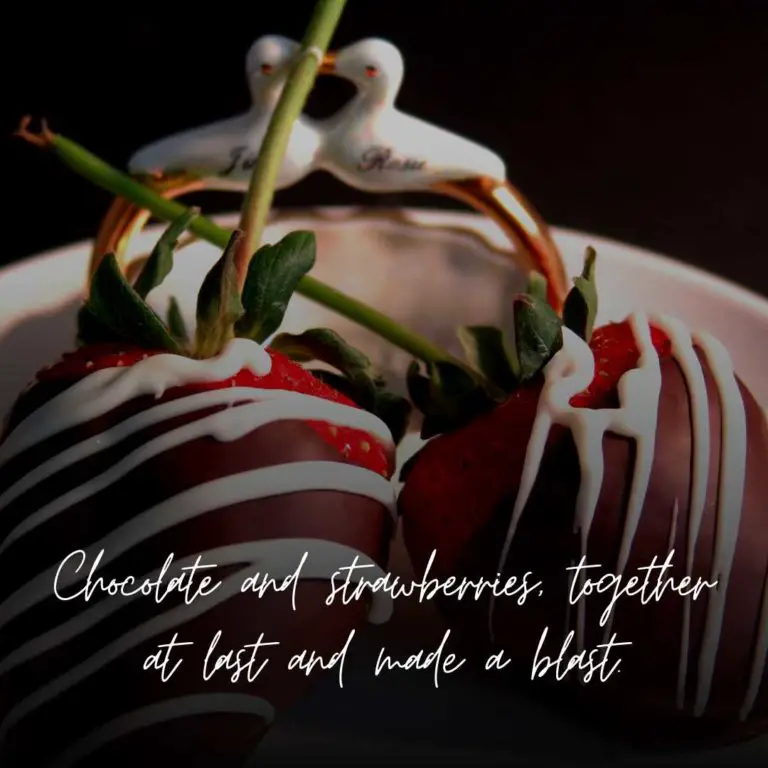 67+ Chocolate Covered Strawberries Quotes & Instagram Captions
