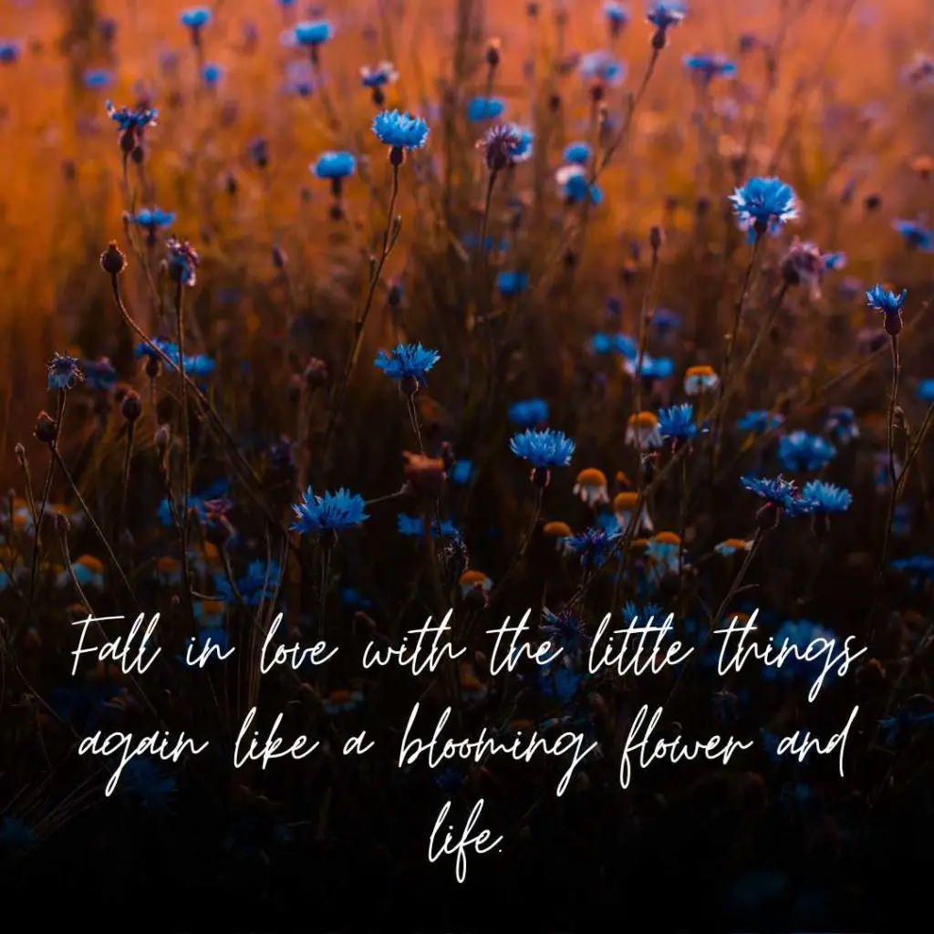Flowers and Life Instagram Captions
