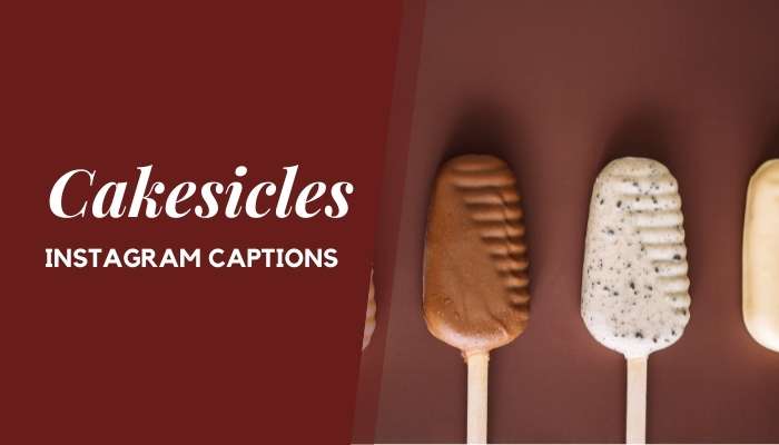 Cakesicles Instagram Captions
