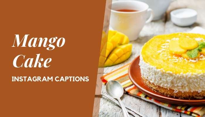 Mango Cake Instagram Captions