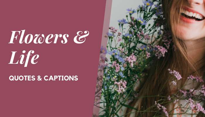 Flowers and Life Quotes & Instagram Captions