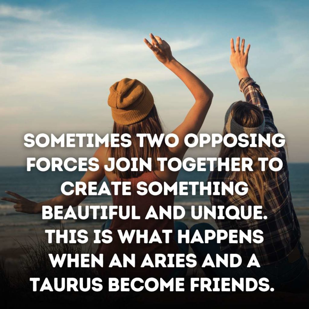 Taurus and Aries Friendship Quotes