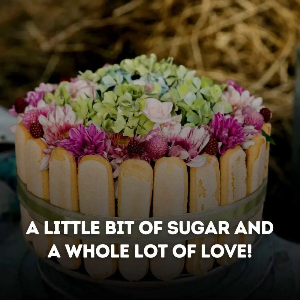 Floral Cake Instagram Captions