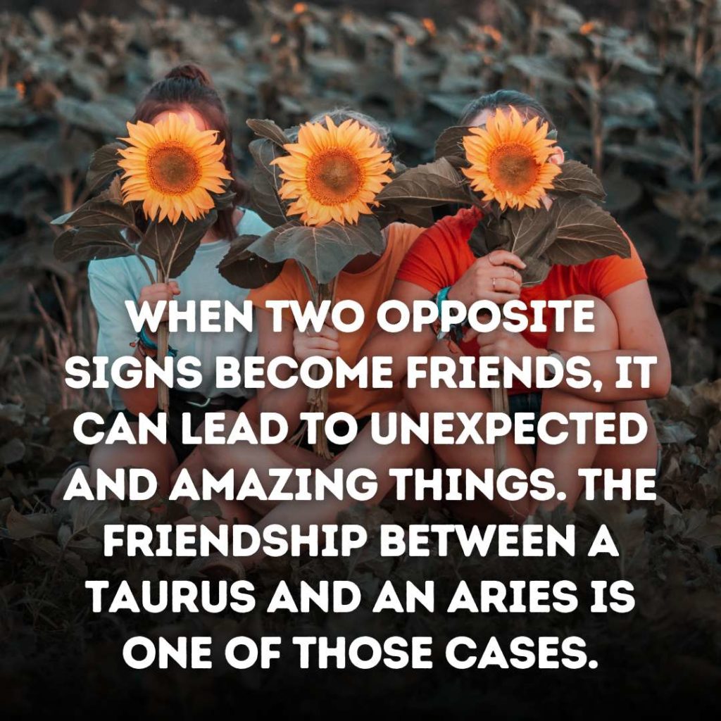 Taurus and Aries Friendship Quotes