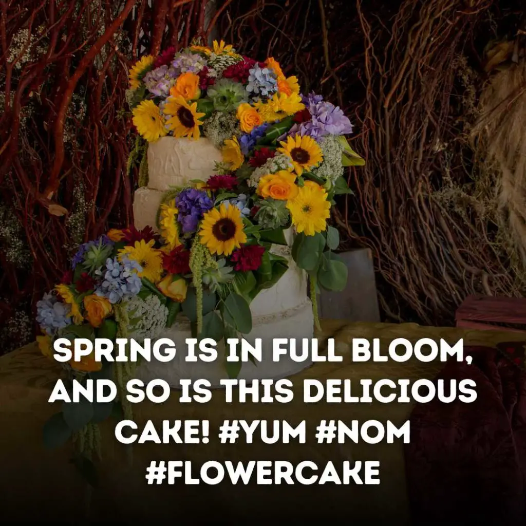 Floral Cake Instagram Captions
