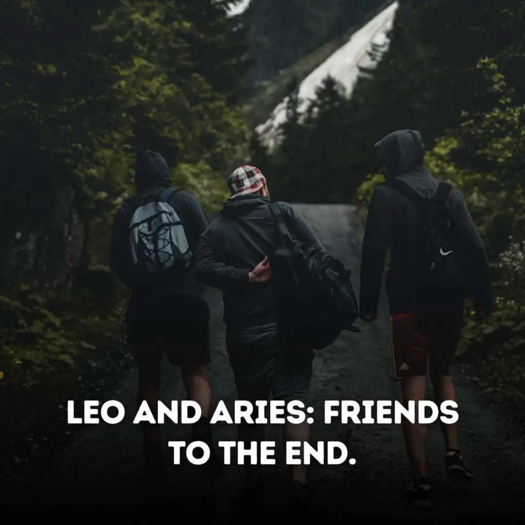 Aries and Leo Friendship Instagram Captions