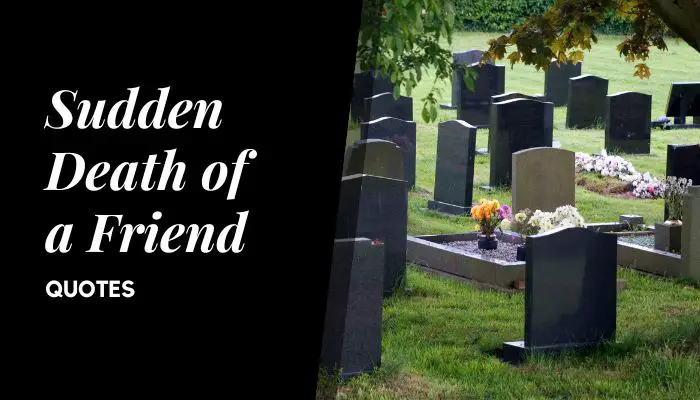 Sudden Death of a Friend RIP Quotes