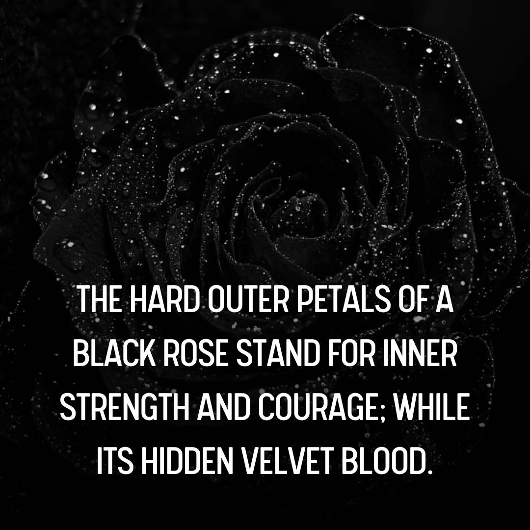 45+ Deep Quotes About Black Rose and It's Significance
