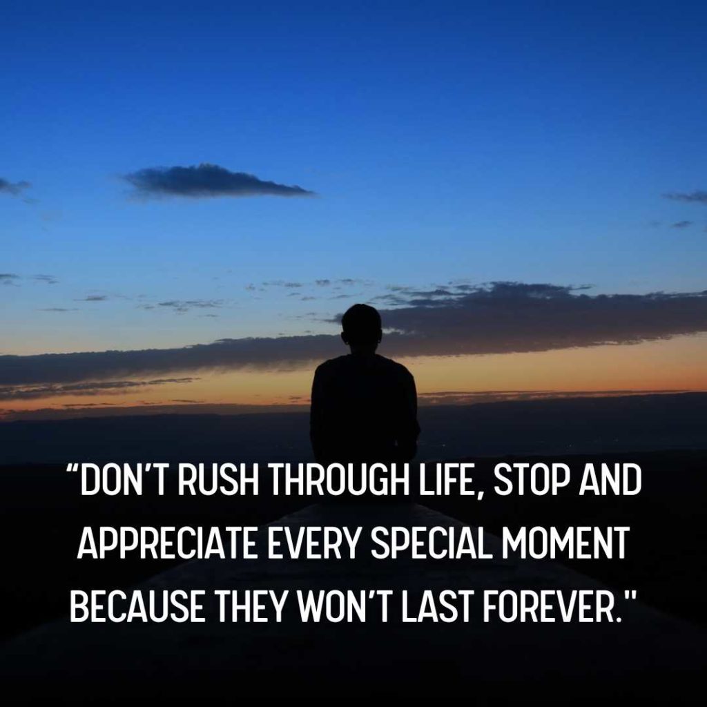 Appreciate the Moment Quotes 