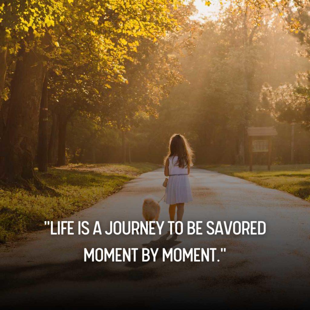 Appreciate the Moment Quotes 