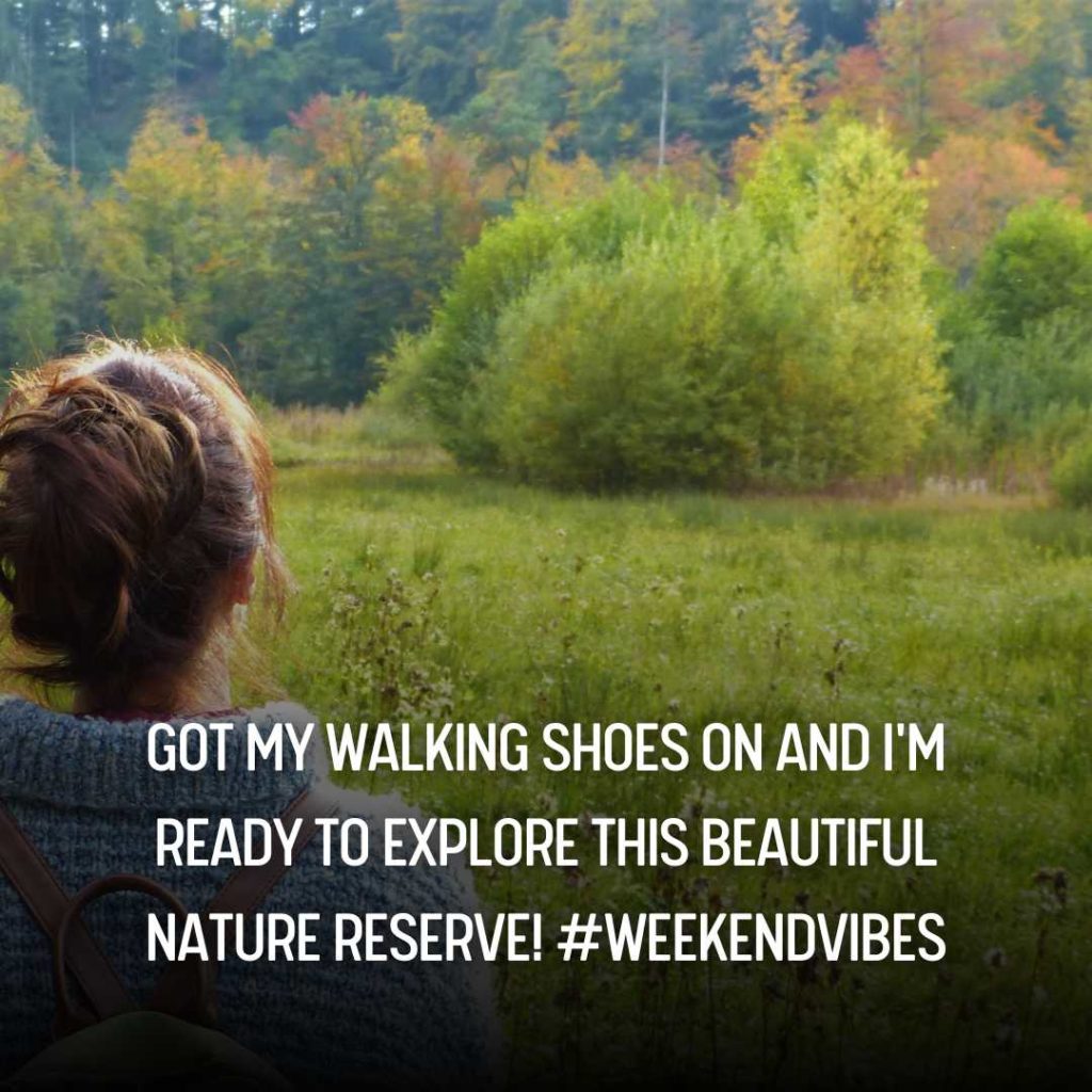Nature Walk Instagram Captions