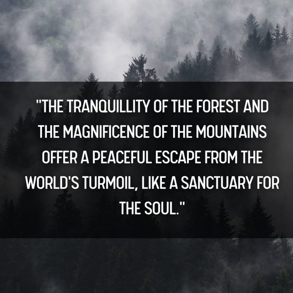 Mountains and Forest Quotes