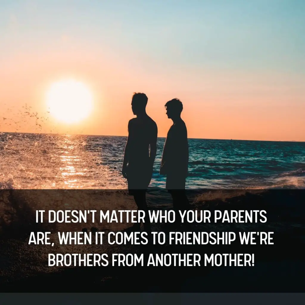 Brother from another Mother Quotes