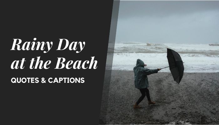 Rainy Day at the Beach Quotes