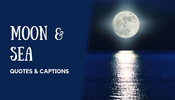Moon and Sea Quotes