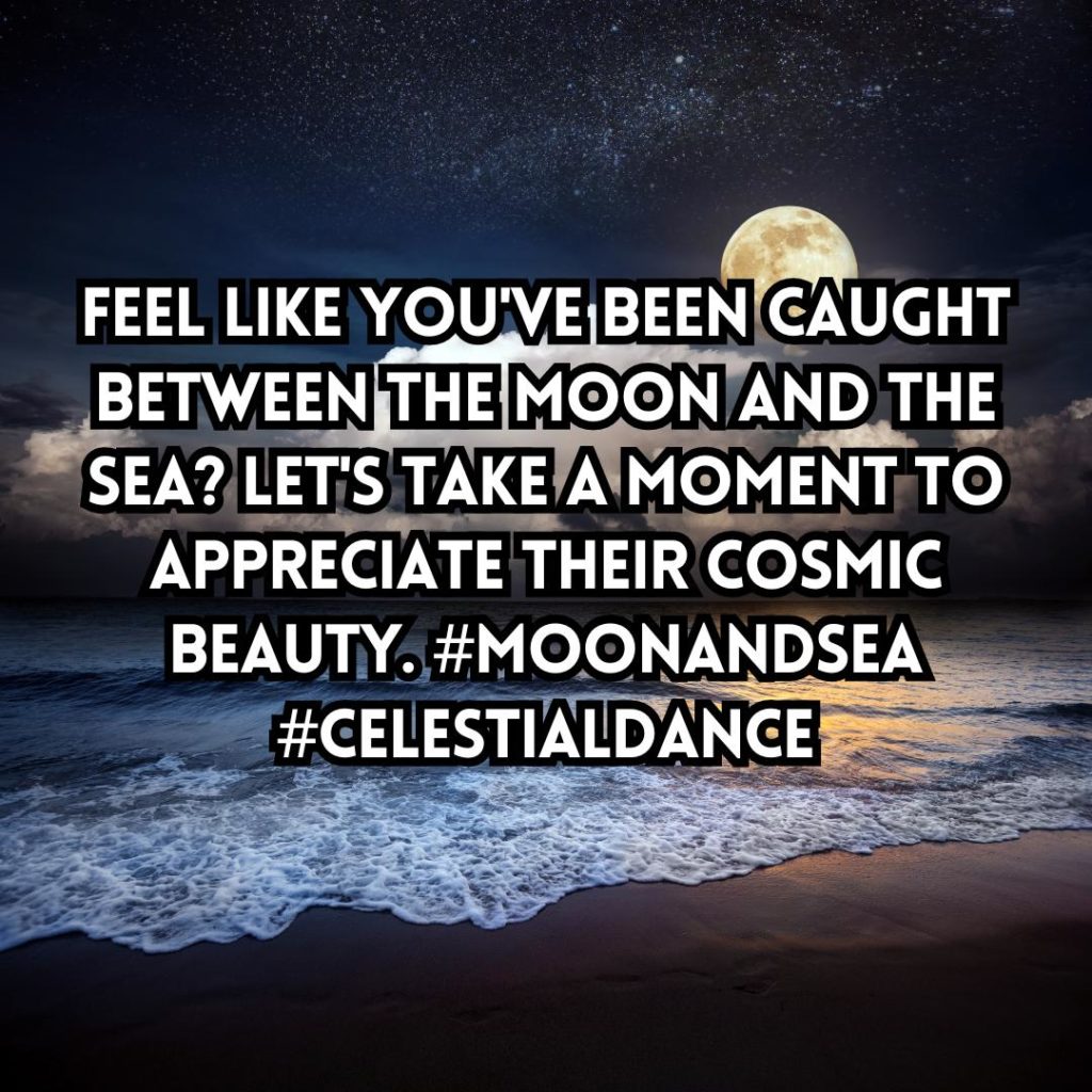 Moon and Sea Quotes & Instagram Captions.